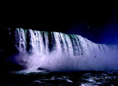 Michael DiCarlis: Flickr