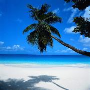 Club Med