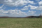 RM Farm Real Estate Livingston Manor NY