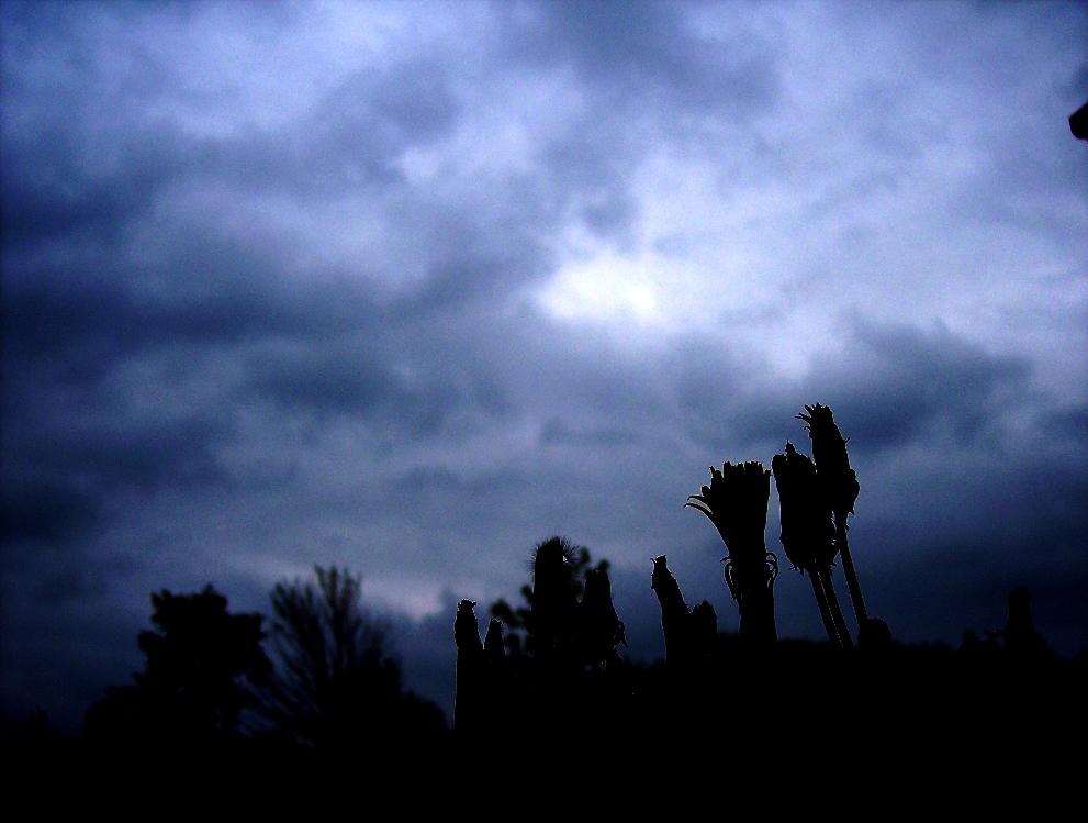 Storm