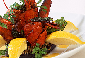 Hawiian Tropic Zone Lunch Appetizer Menu